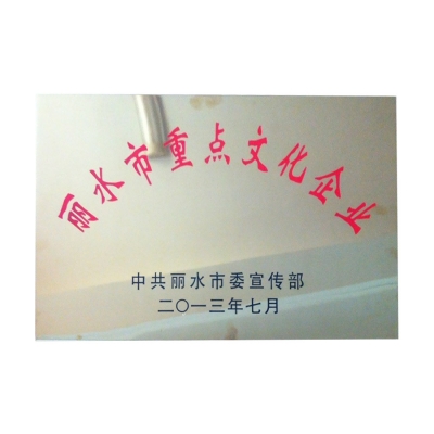 麗水市重點文化企業