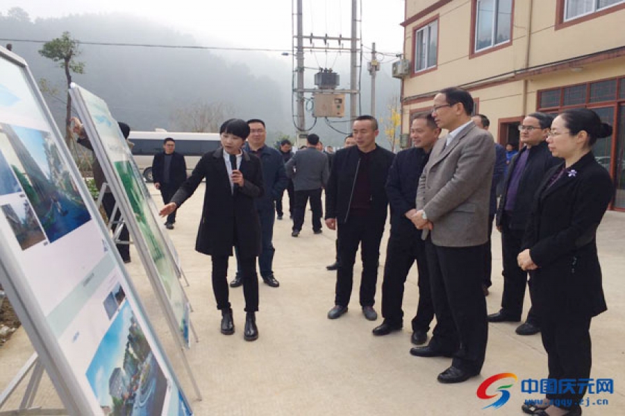 史濟錫到我縣調研