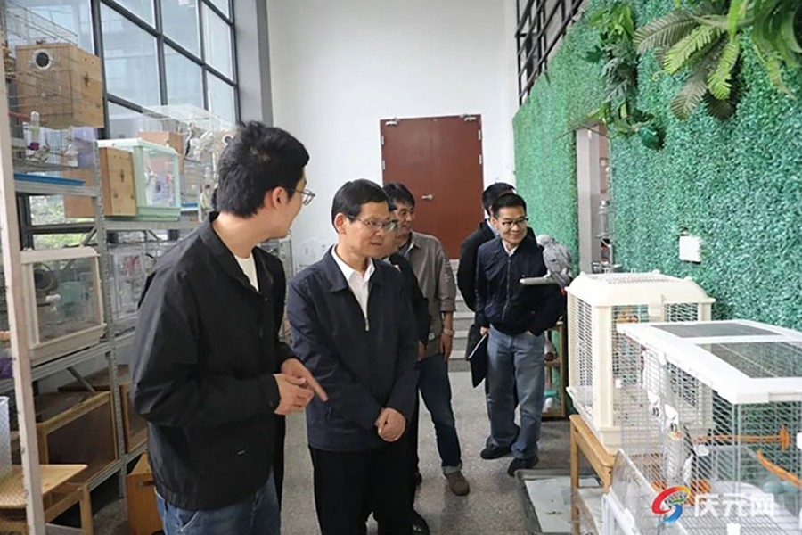 蔡昉調研營商環境優化提升“一號改革工程”推進情況